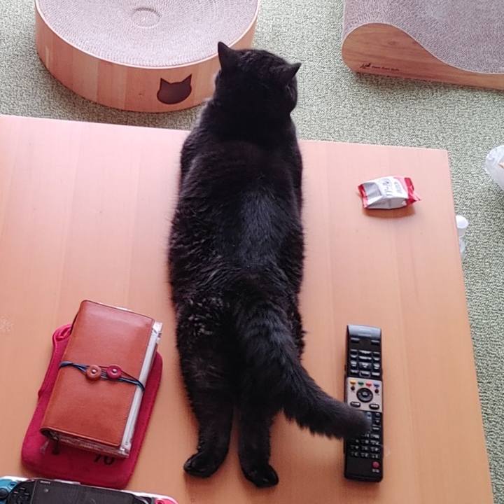 Be453bbc 1237 47ca a0ec bc25b588d219 1628461176040