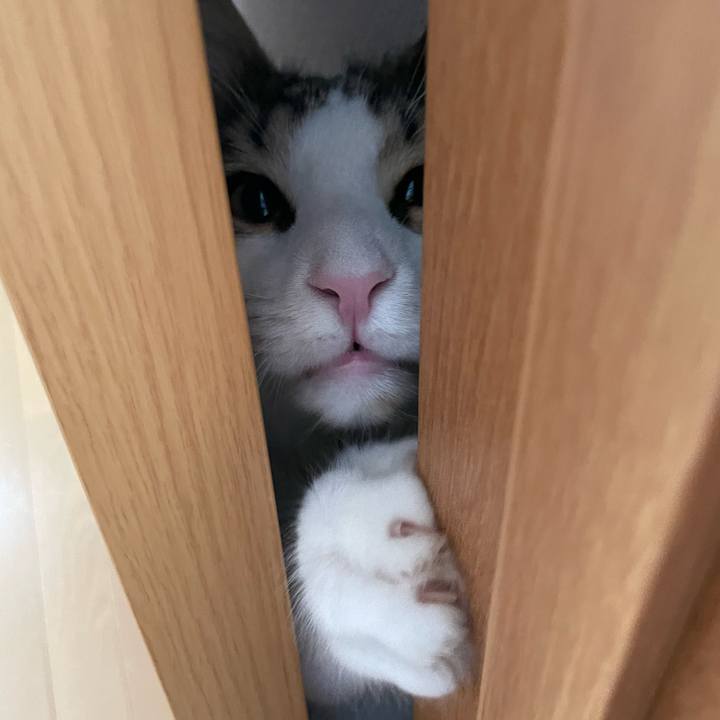 Be454f05 7ff7 42b2 87b2 bc168b5331c9 1645232287666