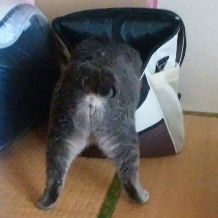 Be456357 a51c 459a 9bae e91e8df6b263 1532835766658