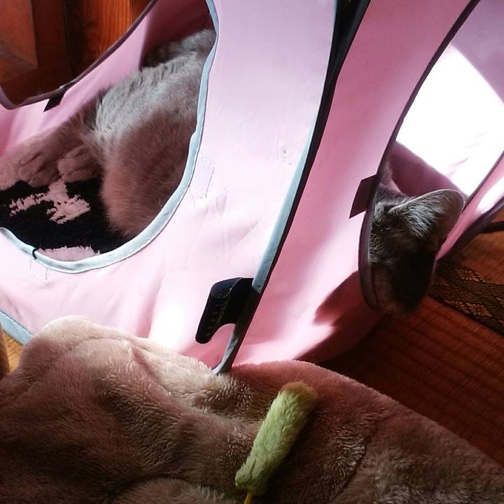 Be457353 f9ef 4498 b5c1 a923b6c6a1d0 1583452260244