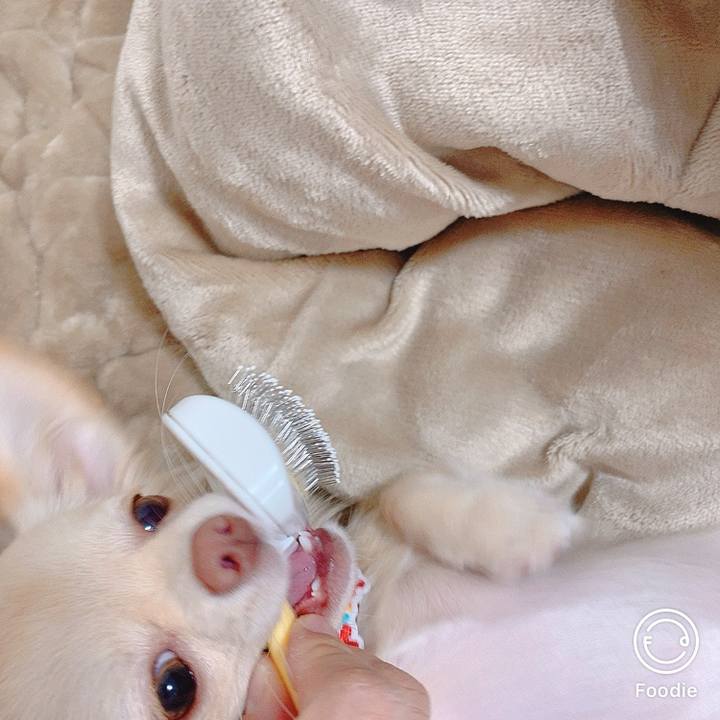 Be45932c 9f3e 4913 8bb8 43419cd917c0 1605875896734