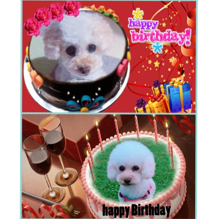 Be45c879 4721 42d2 b652 d6aa08a9addc 1540203493597