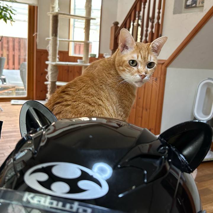 Be461f5d 81d9 49ea a98e 2b7f79921a13 1684570363160