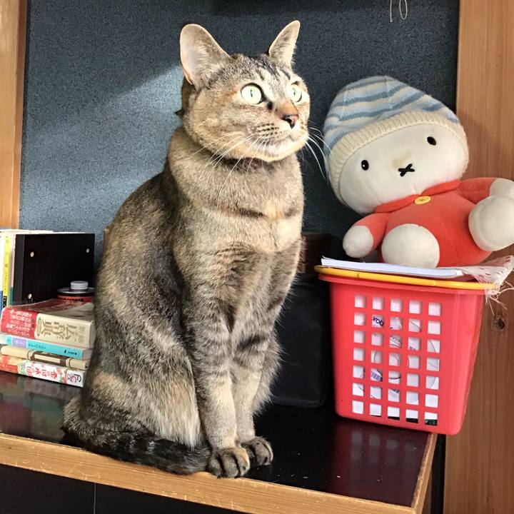 Be462fa3 ddb2 4146 8167 bc77cff15edd 1642987482909