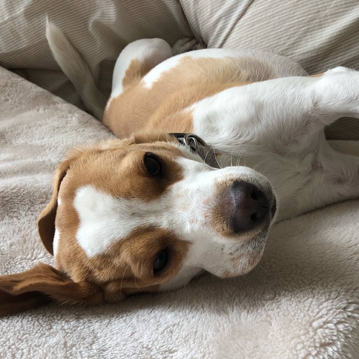 Be46308b 4ff8 4798 913f 74663c864f9e 1578283244745