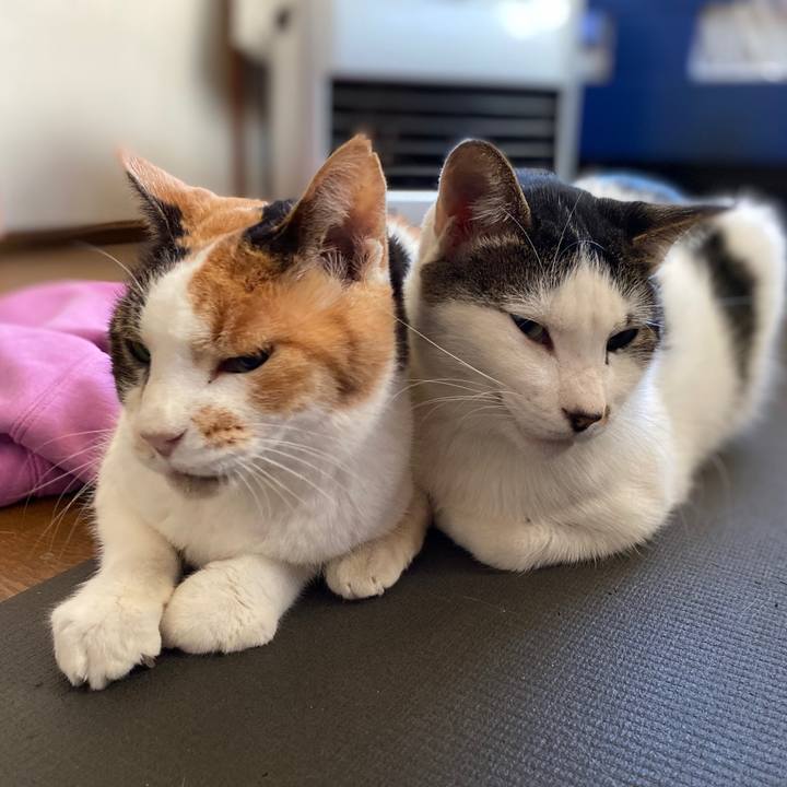 Be46739e 1c72 43bd bd18 600908c3e60a 1669711202322