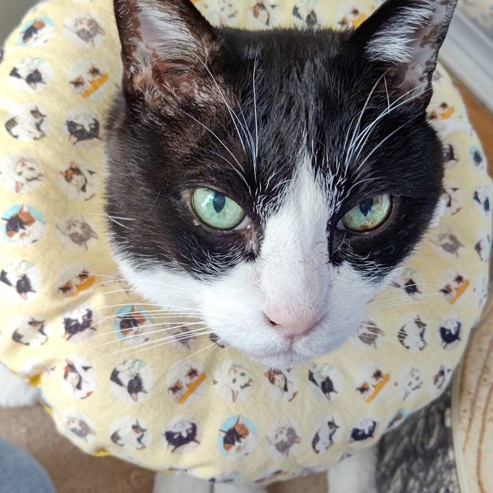 Be46a488 2940 482e 8c7b 90a84c7aad0c 1645843339260