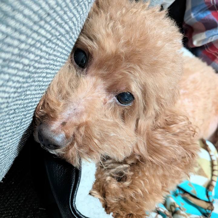 Be46efe3 0ac9 422d 8194 8f667f6edb46 1774351491067