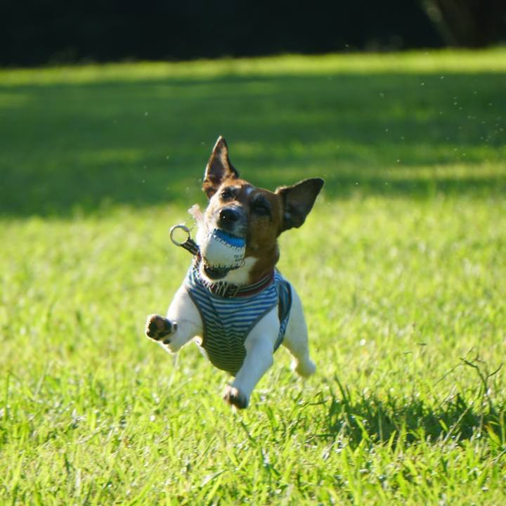 Be46f343 2b41 4a20 a93c e323269794b7 1564959765074