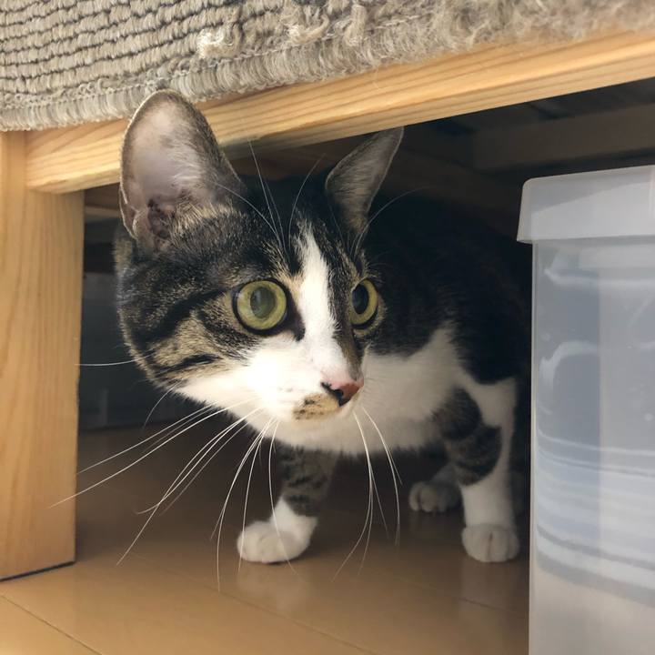 Be471af1 affb 43f9 8cbf 14ce464e9bec 1607818900643