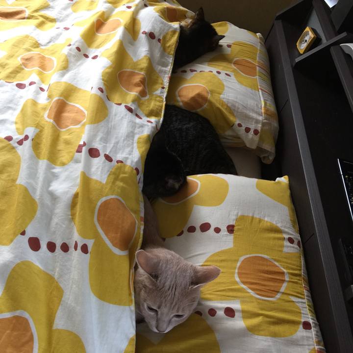 Be472a08 d6e9 4802 bd49 f144567bcc07 1525393869799