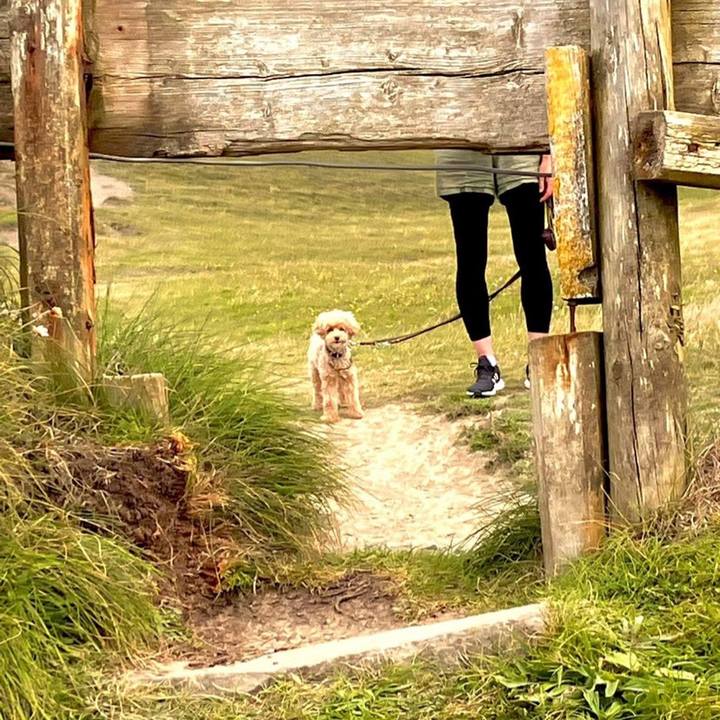 Be472e07 c3ab 4626 aded a5290781bba8 1660824983298