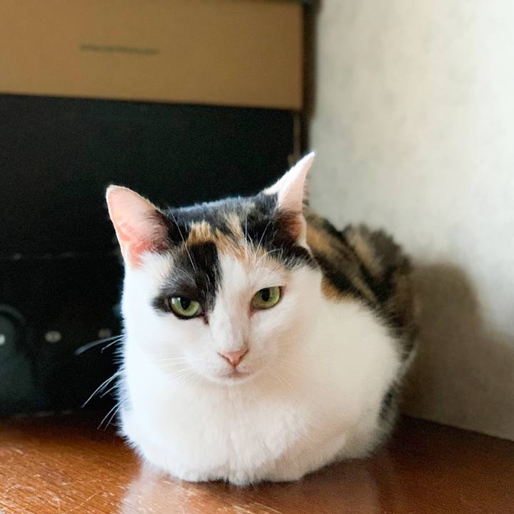 Be47ccd1 5a78 4a2b aee1 4808a131ebaa 1570153975802