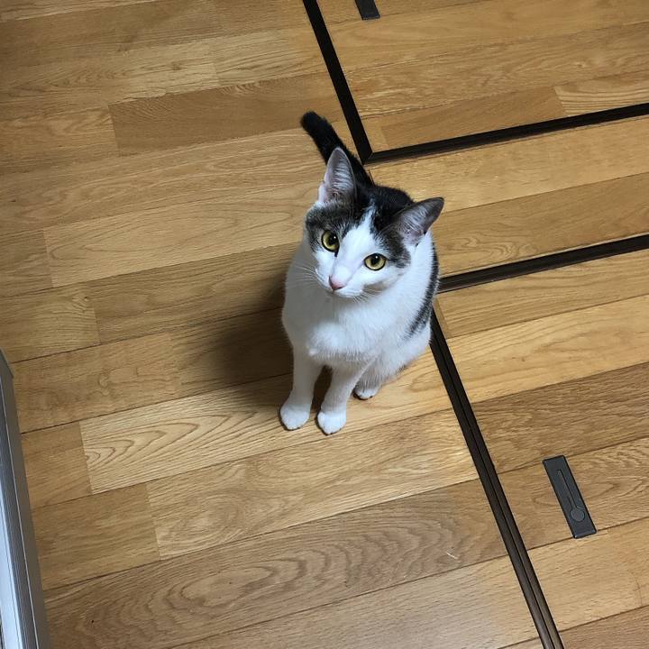 Be47d8f2 5d80 450e 8168 299c60c3b31c 1603804882579