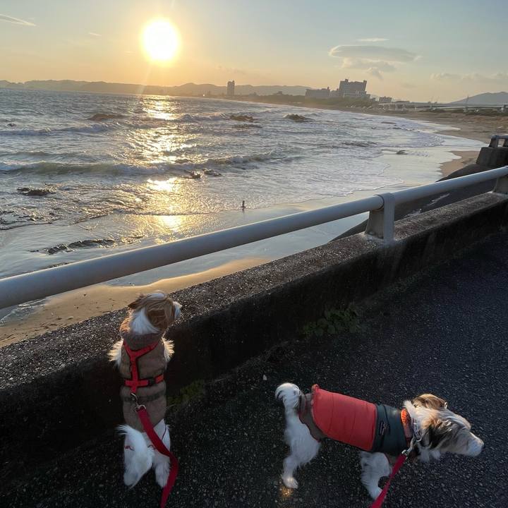 Be47ec4d 93ea 4b45 a263 e62f9a2a1dd8 1767615080894