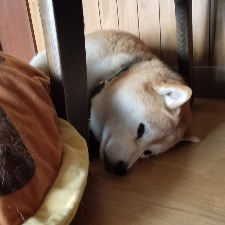 Be47f2e4 2765 4b5a aa0d 1b43e45905eb 1650494790837