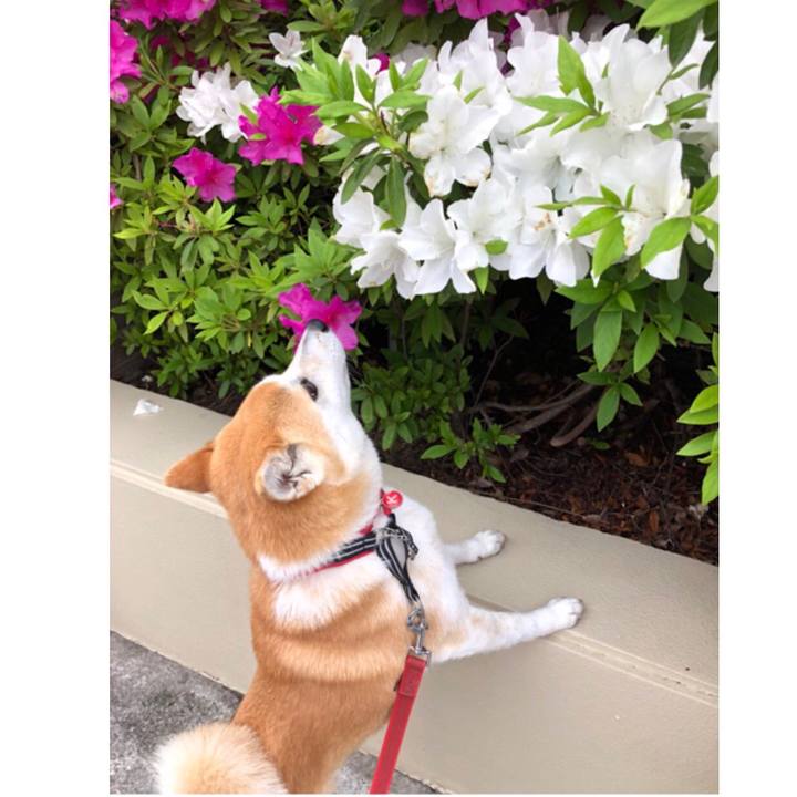 Be47f92c 54a1 464a 92ad 4d67e21786da 1524536075122