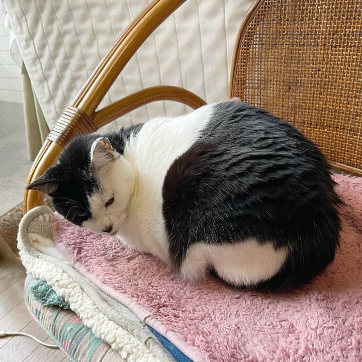 Be47fe45 abf8 4932 b275 fec09eb1d33c 1767567182382