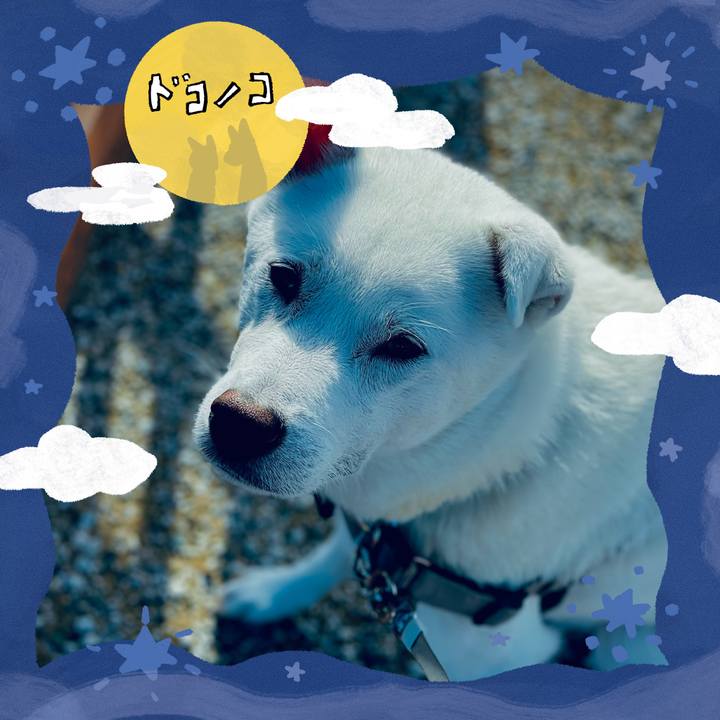 Be480cfe 1e57 44c0 8efa 64fbddca2390 1727068058793