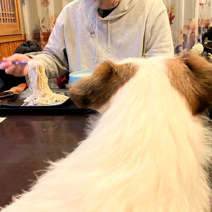 Be484701 7c8f 46e5 ae52 cd3ddf99fbf9 1671946986856