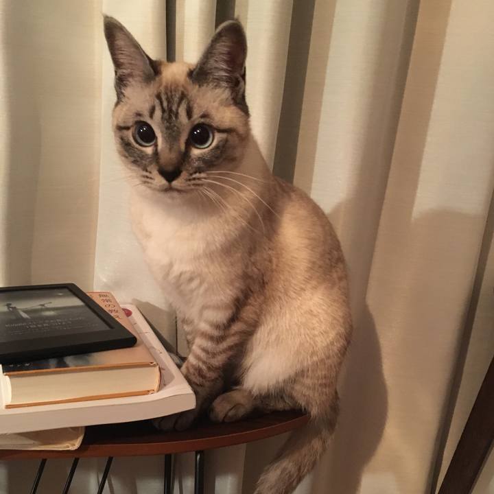 Be484fcb 7fb7 4880 aef1 9af76a9dbc9b 1551964501198