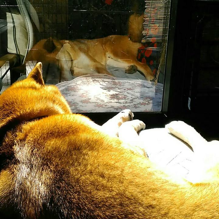 Be4879e8 0c79 4df8 9cfa 265ac8397df7 1549939155629