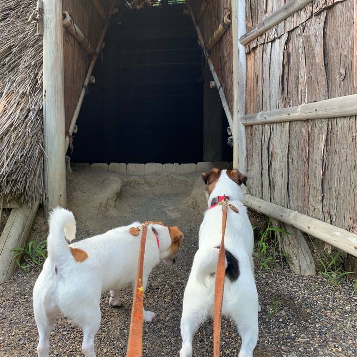 Be487a24 7978 4b8c acc0 26bb550c48e0 1563869712700