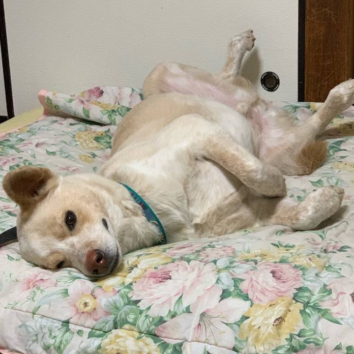 Be488bc4 60a7 479b a5a9 4600a0f6357c 1555772942147