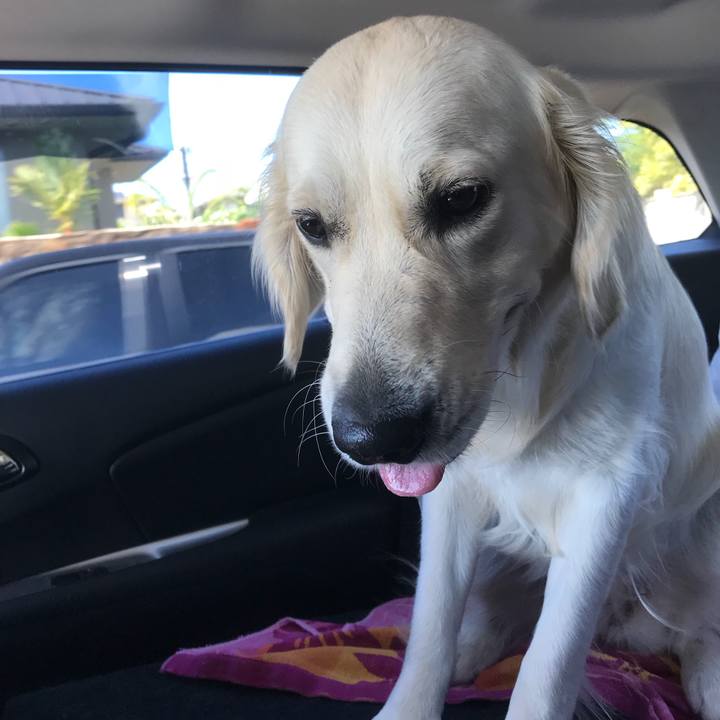 Be48ca6b 6c4c 4f17 b1a0 6aee559fc38b 1516170788065