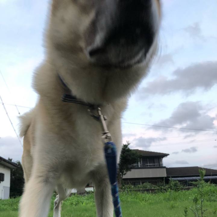 Be48e5ad fa63 4cca 9242 6a83f13cd98d 1629376053496