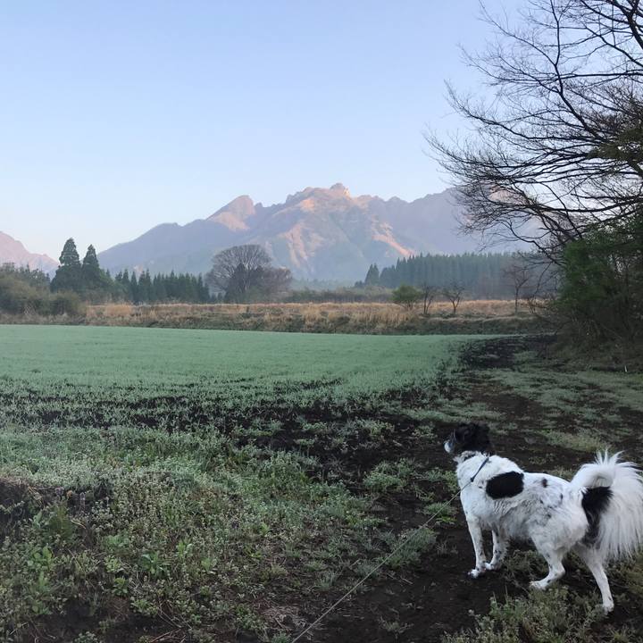 Be48f825 279d 4031 a56b 0eda036453a6 1523338731219