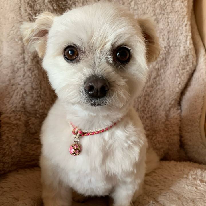 Be4939b8 ac72 49f6 9164 1b643ed1a788 1644812163423