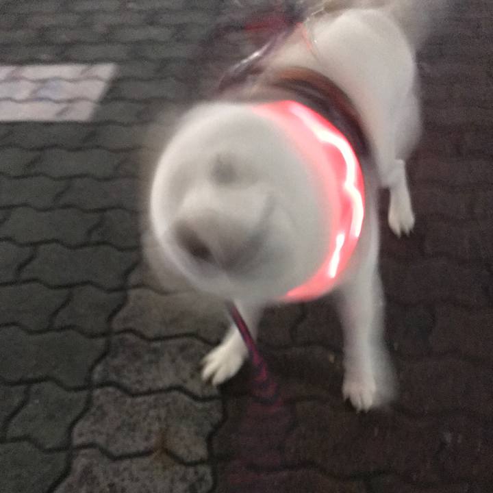 Be495ac4 4f34 45f0 9bc1 38033130f5da 1528716900447