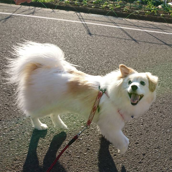 Be49a7e6 3115 4efb adec af7e32ec9ead 1526939380607