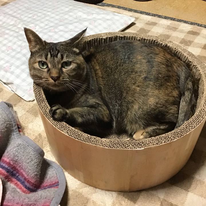 Be49c416 2d1c 4274 a7fd e27fc763755a 1729588455481