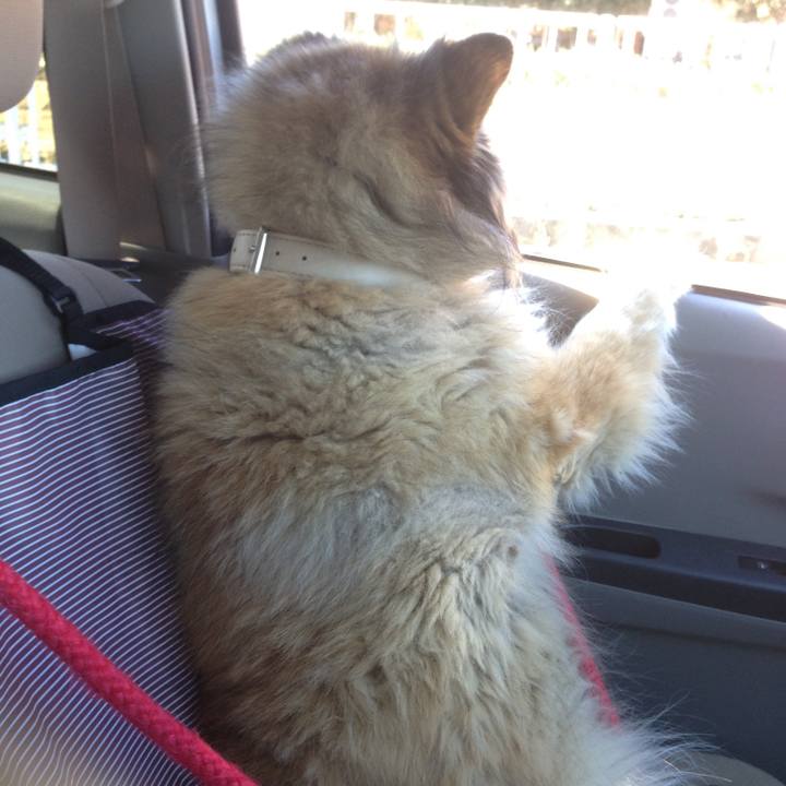 Be49c948 fd68 4895 87ce 5e15fd4c56f7 1610439177827