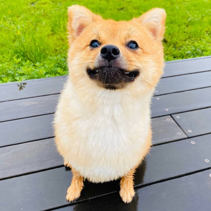 Be49d69e ba8c 4801 9b25 2264353f910e 1596628100572