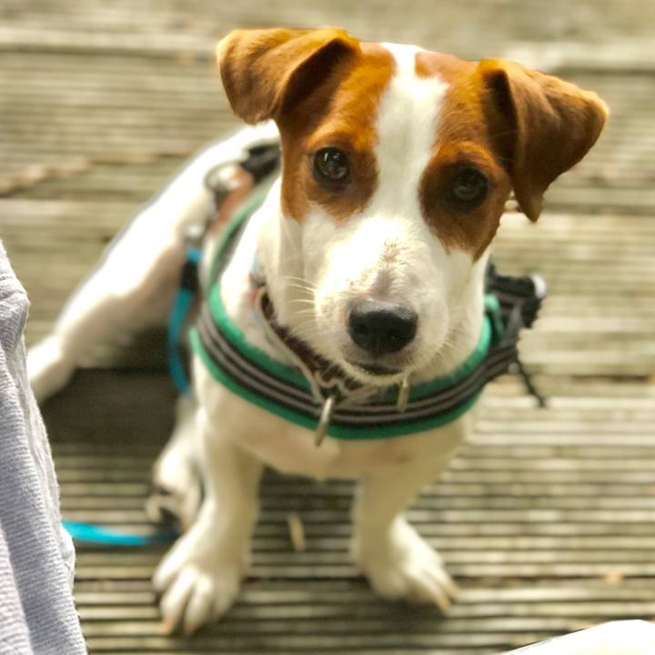 Be49fa15 79fe 4788 9c29 f5d98046a570 1570008829472