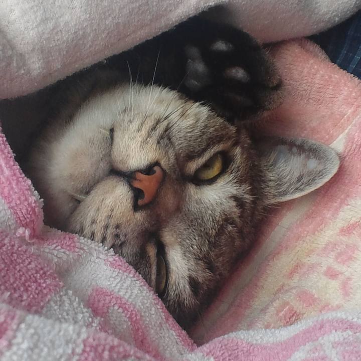 Be49faa7 8376 4ab7 ba0f f5745a2951e2 1574674323811