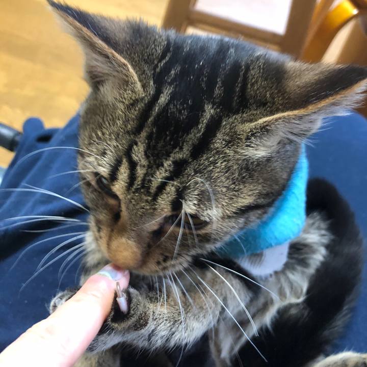 Be4a0430 a2f8 4f7a a6e2 49a803982833 1734133342613