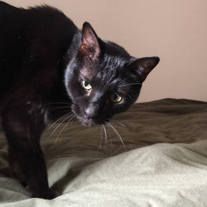 Be4a0da9 0e1a 48e4 9516 acfaa33e94cb 1569036660800