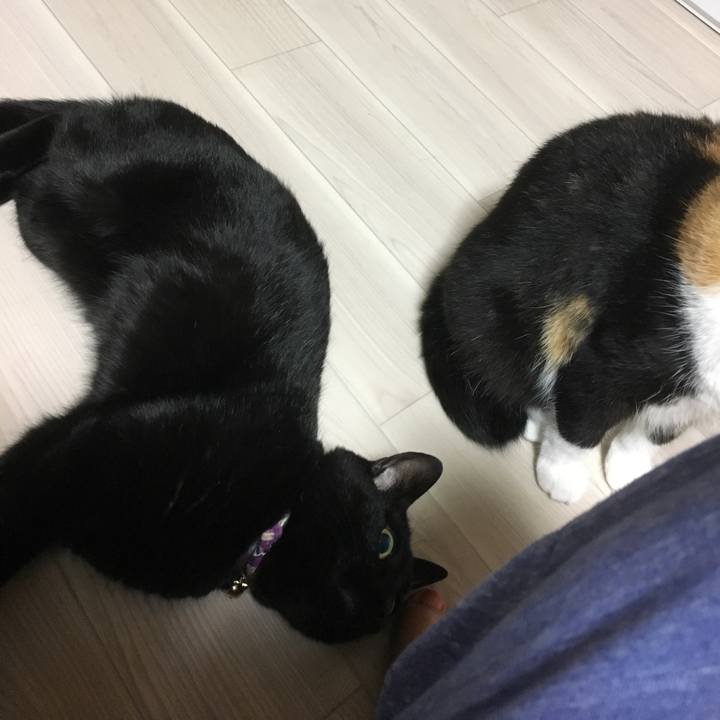 Be4a323a c4b8 490d b68a 26b48b4a2d16 1510661684157