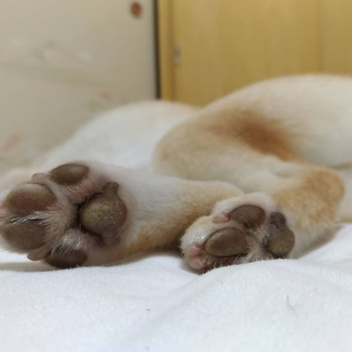 Be4a751b a08c 4e72 9eac a39e78576092 1561985794431