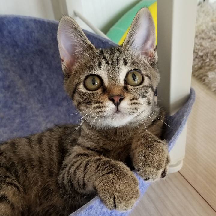 Be4a86ee f174 41e7 922d 4cac3e795354 1539832658663