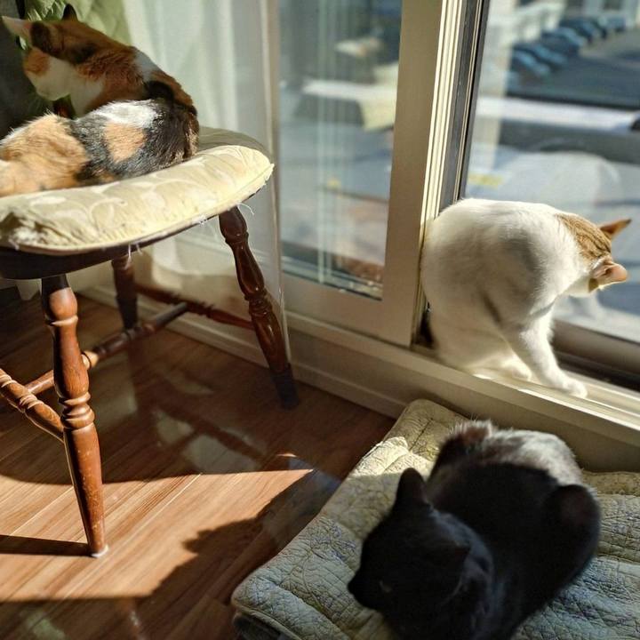 Be4aa169 a9c0 4366 89ed e2002e6b82a4 1763265742559