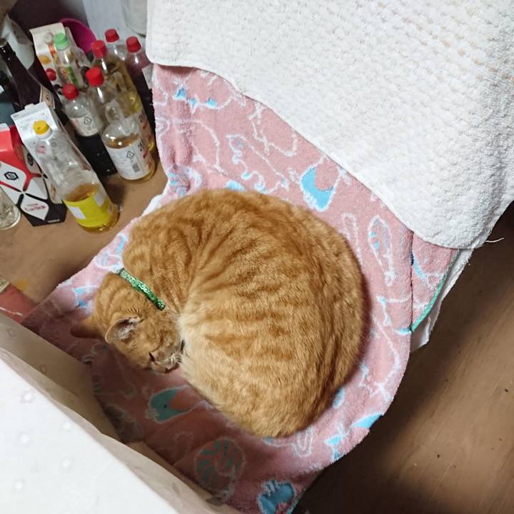 Be4aa517 56fc 4475 8b87 cc52e1b93e3e 1584687430579