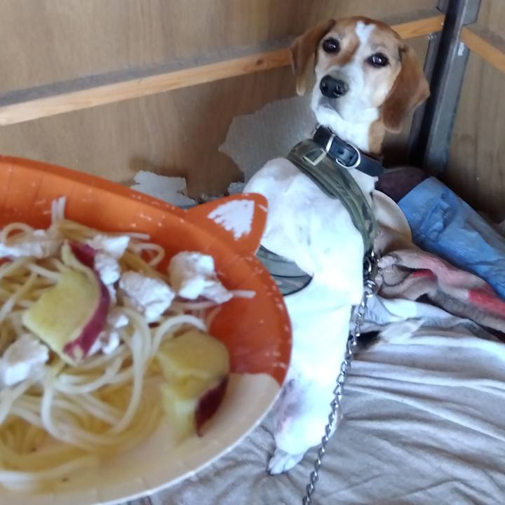 Be4ac1f3 52a4 40b2 8334 ee90aa0548d1 1695969194225