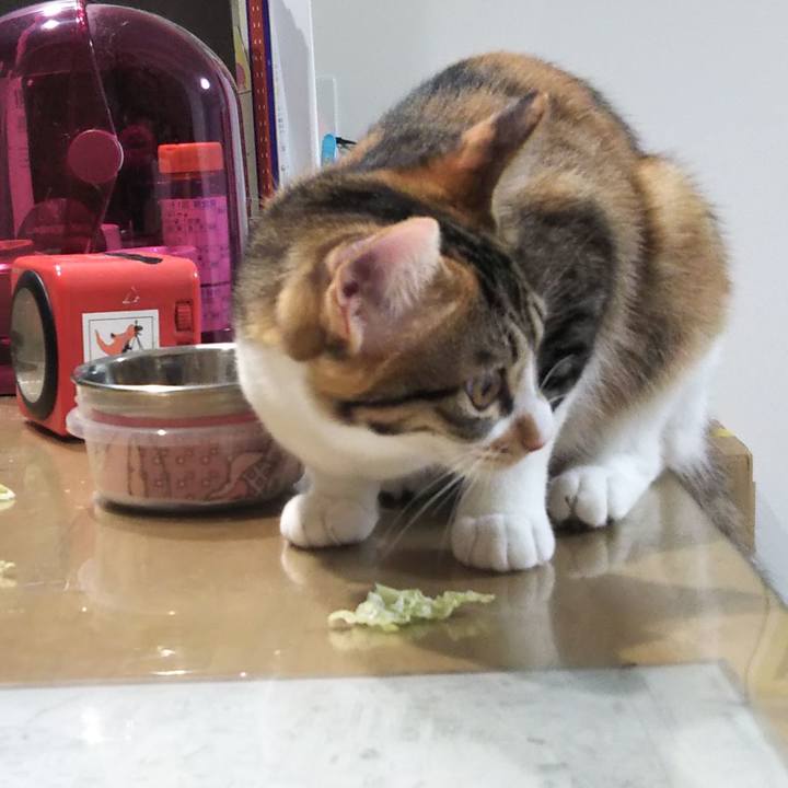 Be4b0d96 ff91 46fd 8bb4 d54c07a6ff13 1637102075420