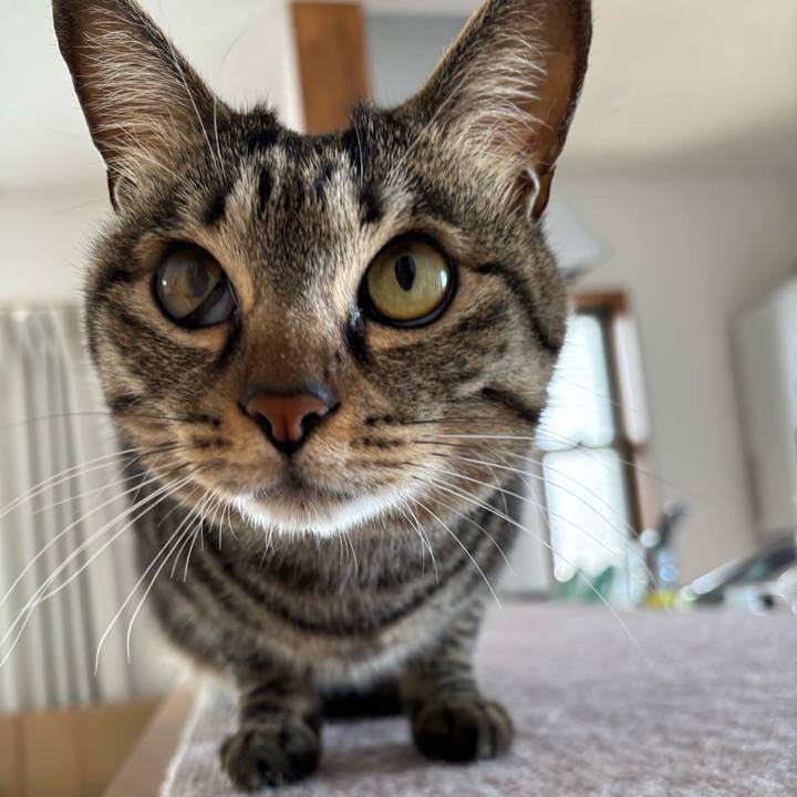 Be4b13fa 6d57 4758 8ef0 207ed72be3c4 1773024498482