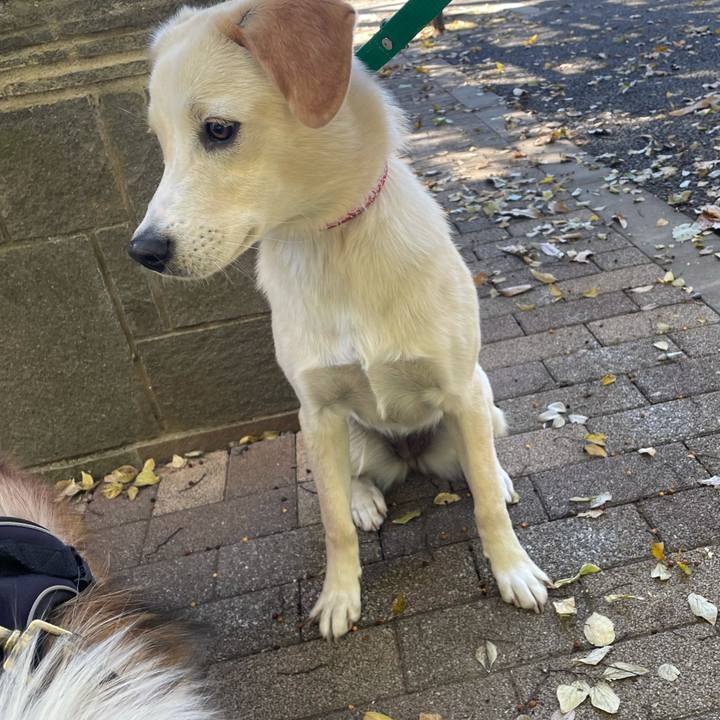 Be4b7a56 2b21 4e8d a8e5 213578d5803c 1638092866872